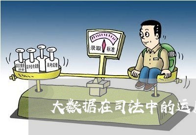 大数据在司法中的运用 大数据在司法中的运用