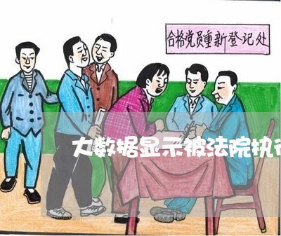 大数据显示被法院执行 大数据显示被法院执行