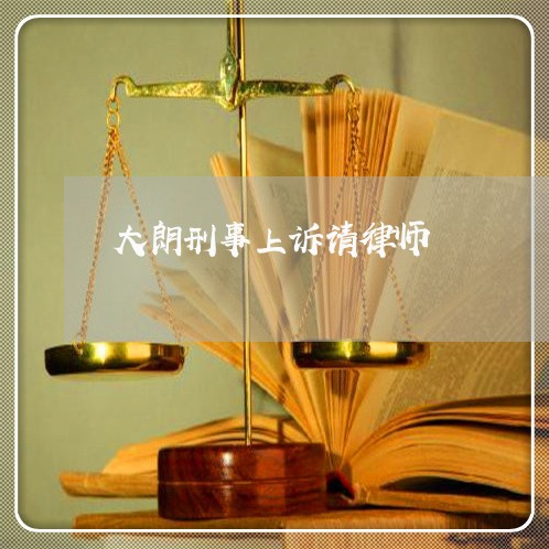 大朗刑事上诉请律师 大朗刑事上诉请律师