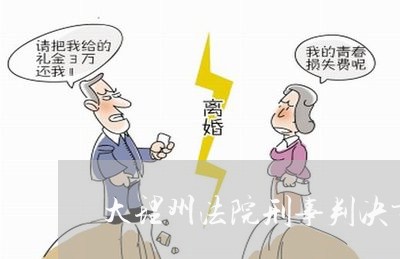 大理州法院刑事判决书