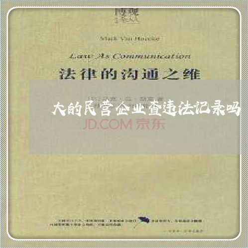 大的民营企业查违法记录吗 大的民营企业查违法记录吗