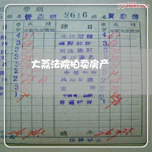 大荔法院拍卖房产