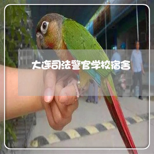 大连司法警官学校宿舍 大连司法警官学校宿舍