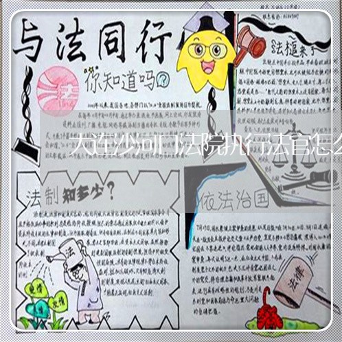 大连沙河口法院执行法官怎么查