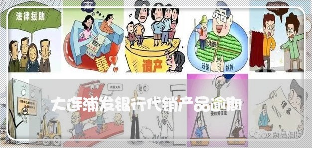 大连浦发银行代销产品逾期/2023062848582