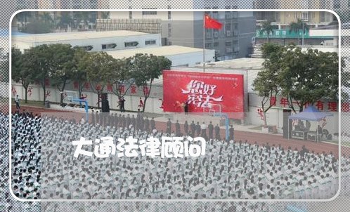 大通法律顾问/2023061736181 大通法律顾问/2023061736181