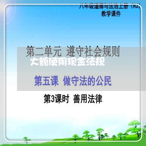 大额使用现金法规 大额使用现金法规