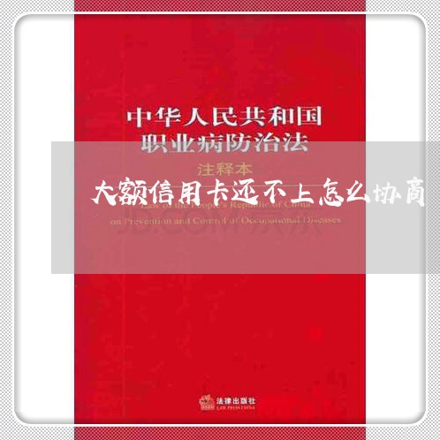 大额信用卡还不上怎么协商/2023071745061