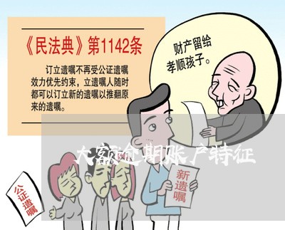 大额逾期账户特征