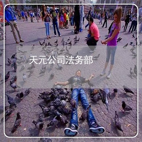 天元公司法务部 天元公司法务部