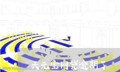 天元宝网贷逾期了/2023080102059