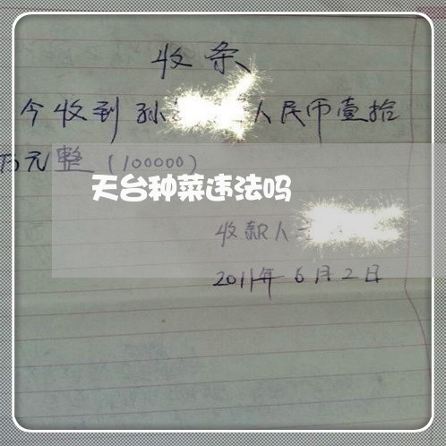天台种菜违法吗