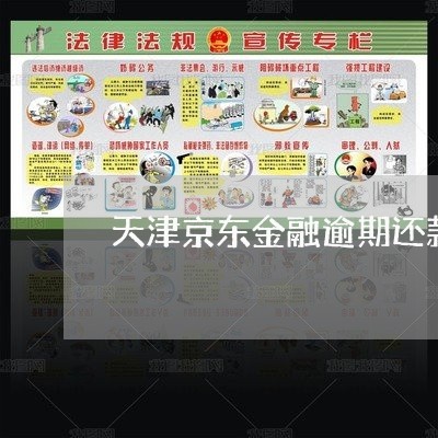 天津京东金融逾期还款协商 天津京东金融逾期还款协商