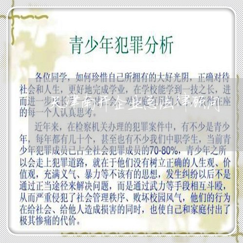 天津南开企业总法律顾问/2023061839369