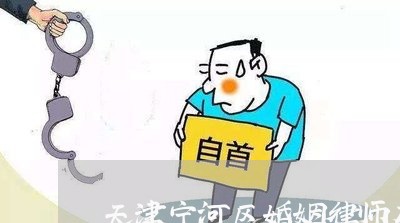天津宁河区婚姻律师有哪些 天津宁河区婚姻律师有哪些