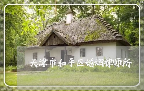 天津市和平区婚姻律师所 天津市和平区婚姻律师所