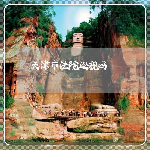 天津市法院巡视吗 天津市法院巡视吗