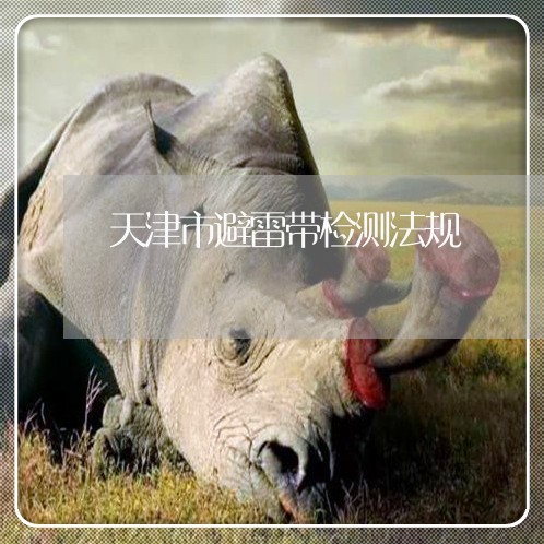 天津市避雷带检测法规