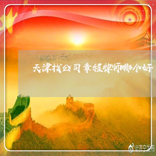 天津找公司章程律师哪个好