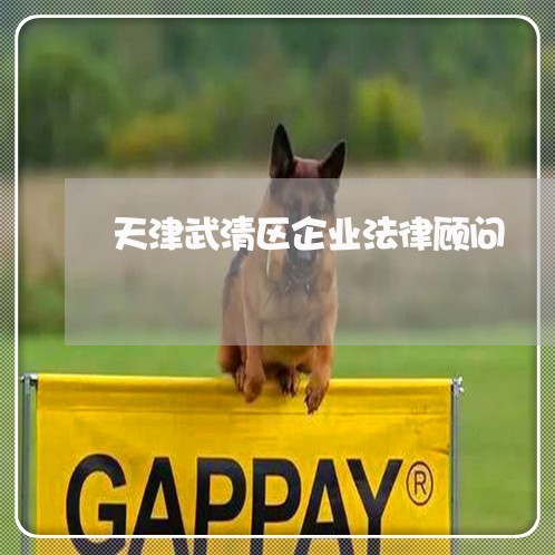 天津武清区企业法律顾问 天津武清区企业法律顾问