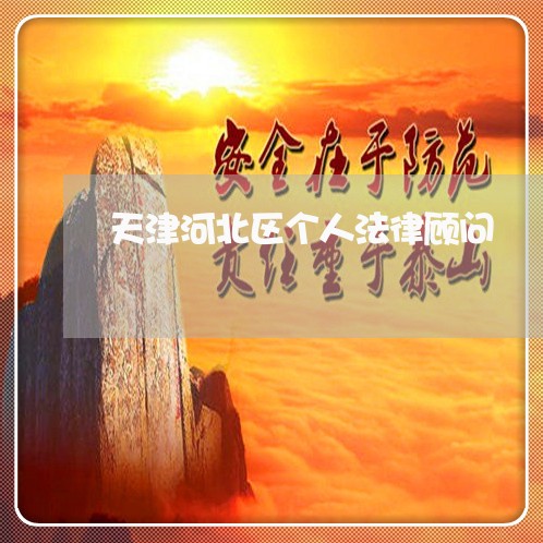 天津河北区个人法律顾问/2023061863514