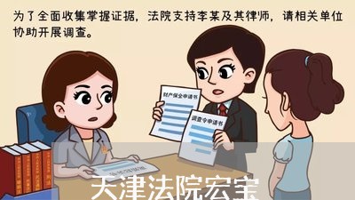 天津法院宏宝