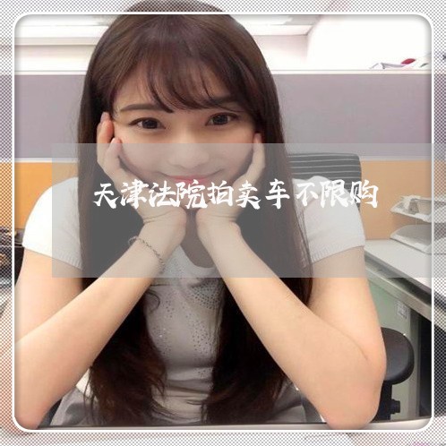 天津法院拍卖车不限购