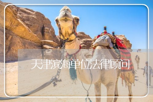 天津滨海单位法律顾问 天津滨海单位法律顾问