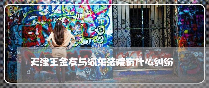 天津王金友与河东法院有什么纠纷 天津王金友与河东法院有什么纠纷