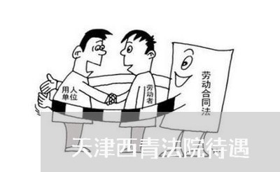 天津西青法院待遇 天津西青法院待遇