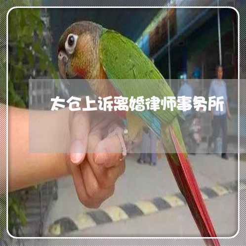 太仓上诉离婚律师事务所 太仓上诉离婚律师事务所