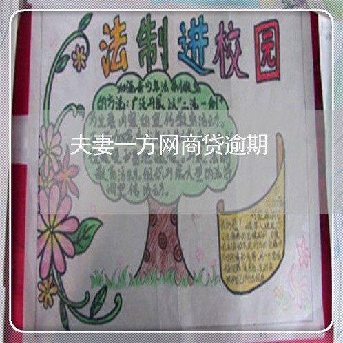 夫妻一方网商贷逾期/2023030140613