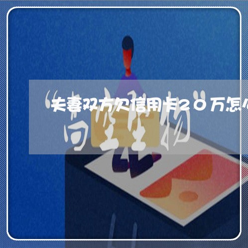 夫妻双方欠信用卡20万怎么办