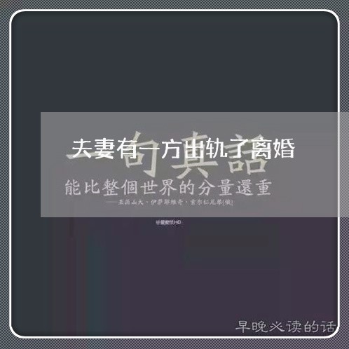 夫妻有一方出轨了离婚/2023042371394