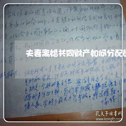 夫妻离婚共同财产如何分配的/2023061170504