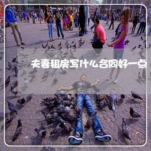 夫妻租房写什么合同好一点/2023060384845