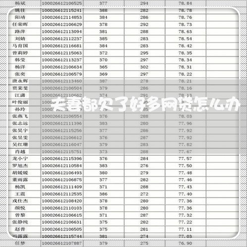 夫妻都欠了好多网贷怎么办 夫妻都欠了好多网贷怎么办