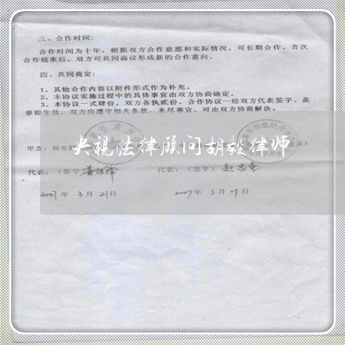 央视法律顾问胡毅律师 央视法律顾问胡毅律师