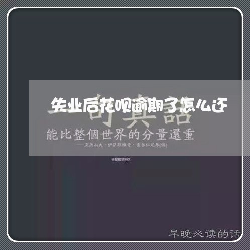 失业后花呗逾期了怎么还/2023112705969