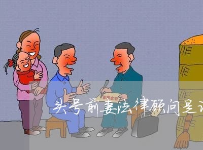 头号前妻法律顾问是谁扮演的 头号前妻法律顾问是谁扮演的