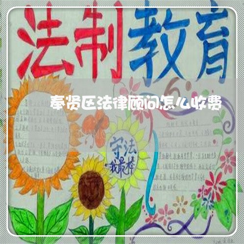 奉贤区法律顾问怎么收费/2023061948379 奉贤区法律顾问怎么收费/2023061948379
