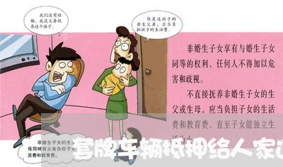 套牌车辆抵押给人家违法吗