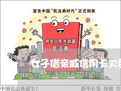 女子借亲戚信用卡欠巨债 女子借亲戚信用卡欠巨债