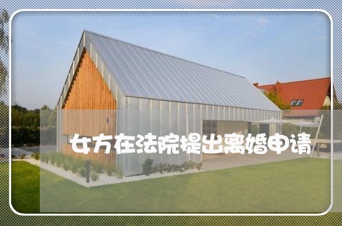 女方在法院提出离婚申请 女方在法院提出离婚申请
