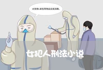 女犯人刑法小说