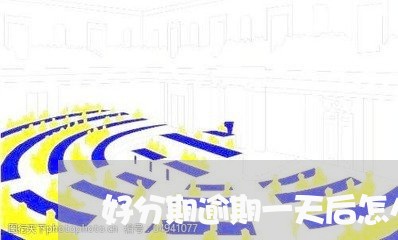 好分期逾期一天后怎么还款/2023042149481