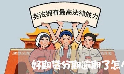 好期贷分期逾期了怎么办/2023100526159