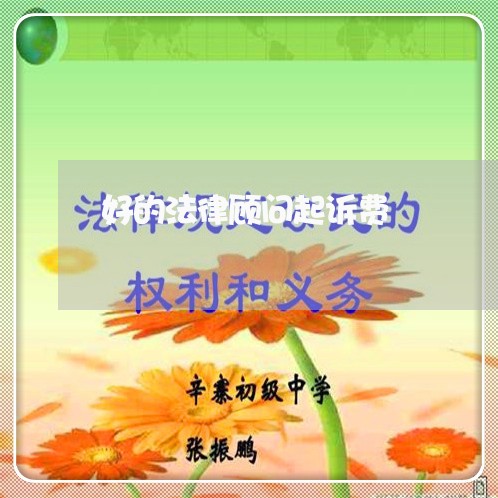 好的法律顾问起诉费/2023071522805