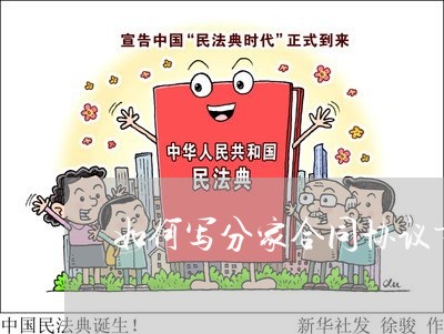 如何写分家合同协议书/2023042280603
