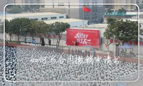 如何写合同撤销申请书/2023042294061